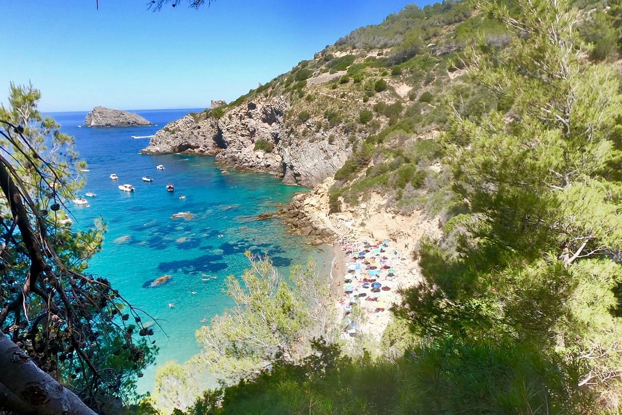 Immersioni & Snorkeling